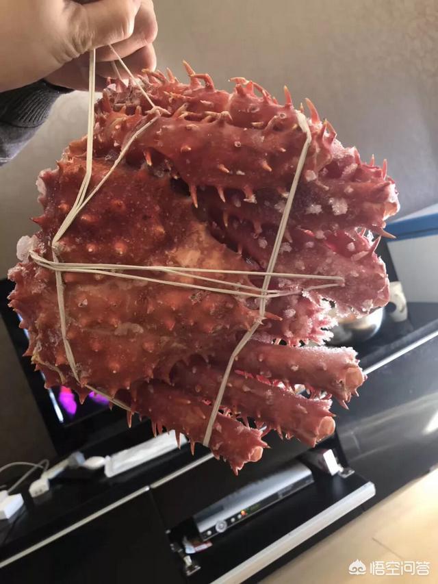 潘达利亚生蟹肉:帝王蟹这种东西为什么一些人只吃大腿？