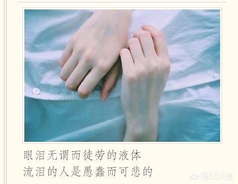 简单生活心态的八个字的句子:如何用一句书摘来形容你的生活或心情？(用一句话形容你的感情)