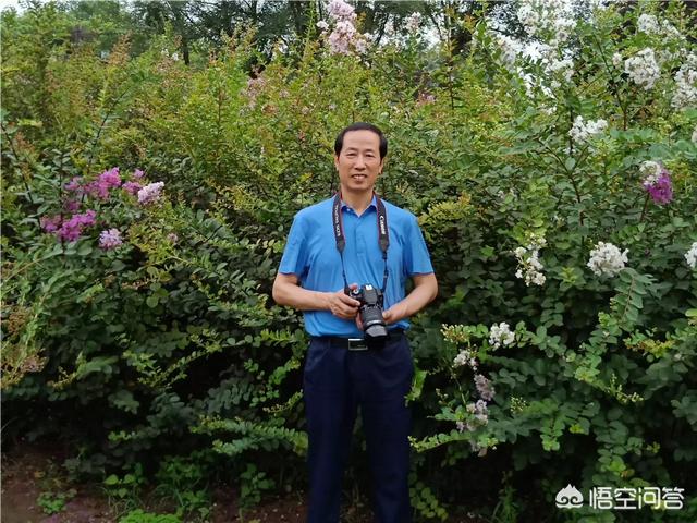 杨阳个人资料:河北卫视家政女皇那个女主持人的个人资料谁有