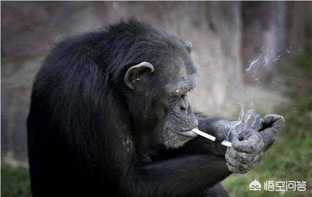 当身边没有打火机和火柴时你是怎么点烟的