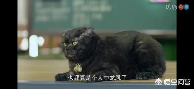 薛佳凝的老公是谁:你觉得嫁给妈宝男会是何种感受