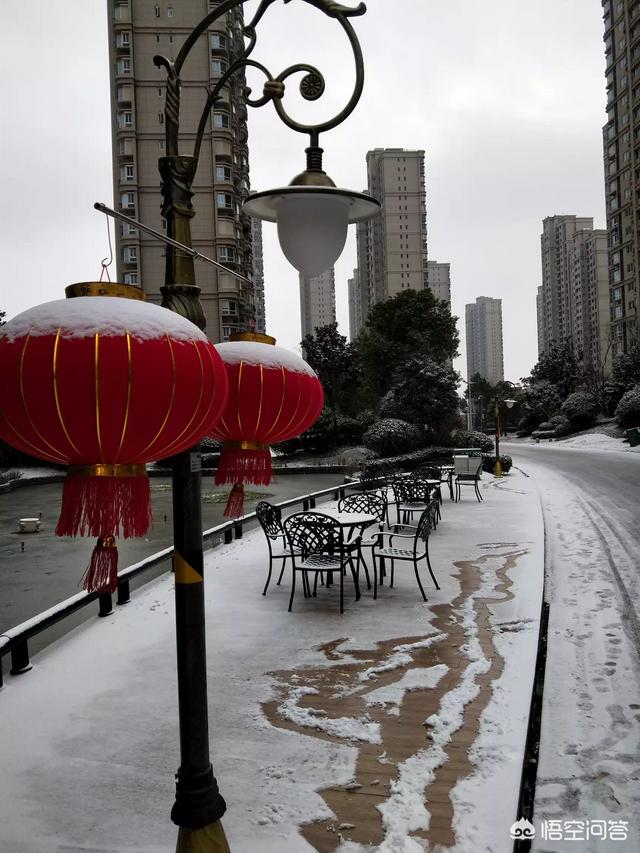 今年春节你会看哪部贺岁片,为什么？