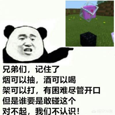 在《我的世界》中,你们做过的最尴尬的事情是什么？