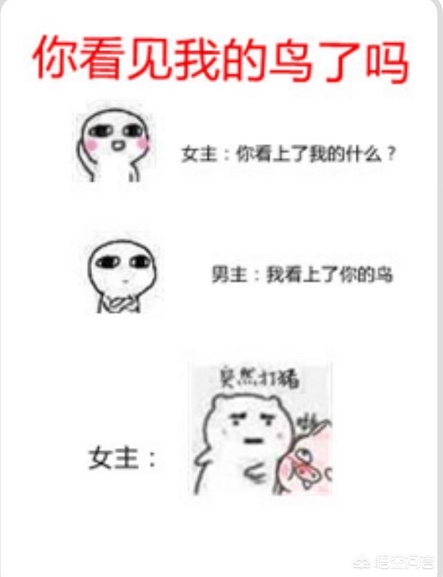 有没有宠到爆的小说,不要什么豪门总裁什么鬼的,就那种一本下来就一百多章的？