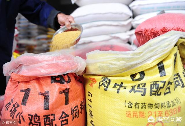 狐狸饲料配置方法视频:怎样配置鸡饲料？自配鸡饲料的方法有哪些？