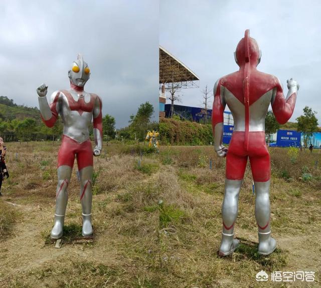 兔八哥电影有哪些:“动漫盗版现象”在中国严重吗？