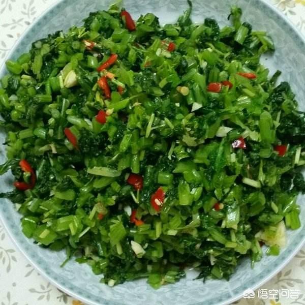 小萝卜头资料简介:萝卜缨怎么做好吃？对人体有什么好处？