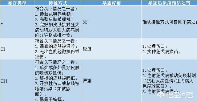 犬弓形虫病例:有没有被狗猫抓咬后动物没事，人得狂犬病的病例？