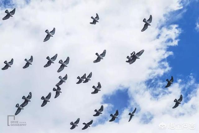 民间风水秘术口诀大全,去西藏旅游，是藏南风景美还是藏北风景美？