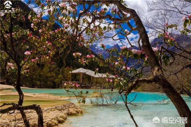 四川发现一条幼龙图片，黄龙风景名胜区有哪些值得游玩的景点