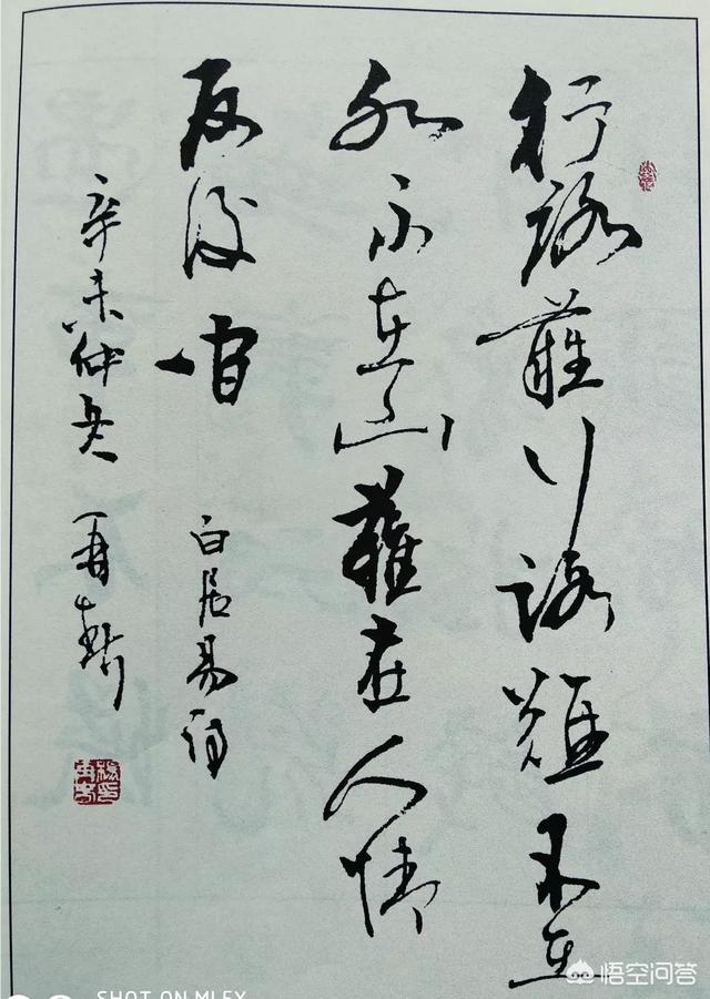巨银斧鱼标本:中国书协杨再春书法好在哪里？