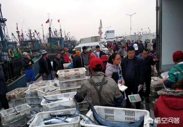 青岛海鱼的种类图片:潮汕海鱼的种类图片及名称 除夕，在青岛吃哪种鱼会比较有地域特色？