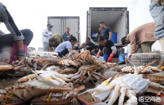 青岛海鱼的种类图片:潮汕海鱼的种类图片及名称 除夕，在青岛吃哪种鱼会比较有地域特色？