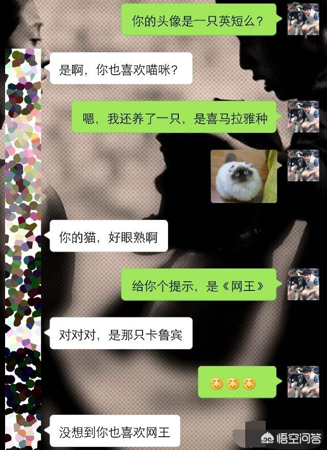 有哪些幽默的聊天技巧可以套路姑娘(幽默的聊天 套路)