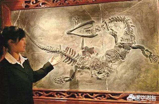 四川出现了两条真龙，中国历史上有没有“龙”的存在呢