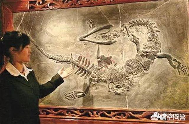 辽宁大蛇事件:大蛇盘踞银行门口，零陵消防“缉拿归案”, 你怎么看？