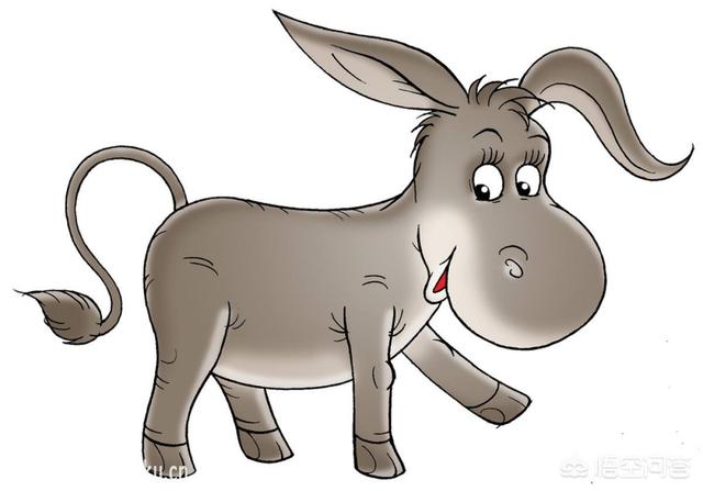 辽宁藏獒驴子后代:2018年藏獒幼犬的价格总体是多少钱？有何依据？