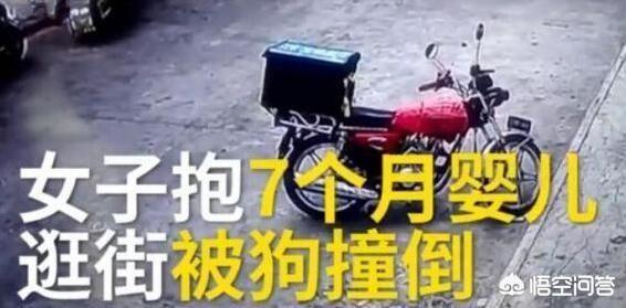 南京 童先生 摔狗:婴儿被狗撞残，狗主人拒赔被拘留15天，又是狗祸！你怎么看？