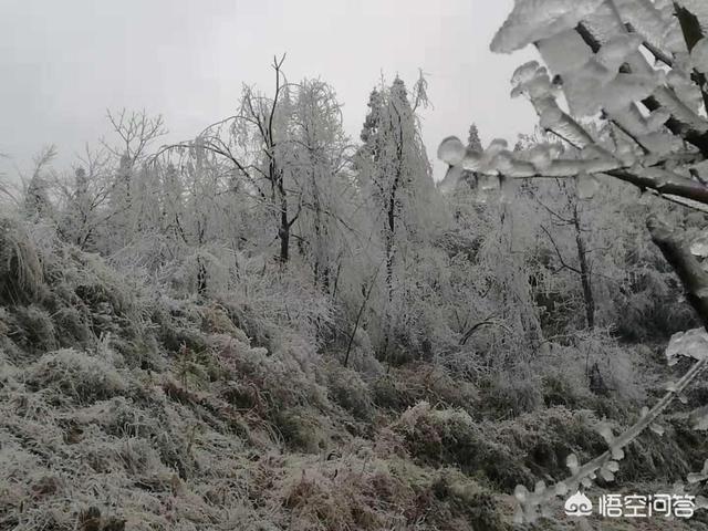 你听过的最冷漠的一句话是什么(你最喜欢的一句话是什么)