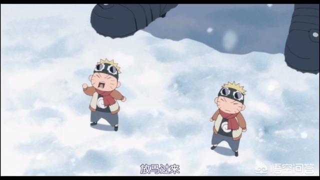 萌猫三剑客:一朝被蛇咬，十年怕井绳是怎样的心理呢？