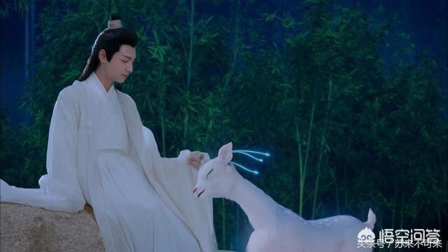 你最喜欢《香蜜》中的旭凤还是润玉,为什么?-惠修网