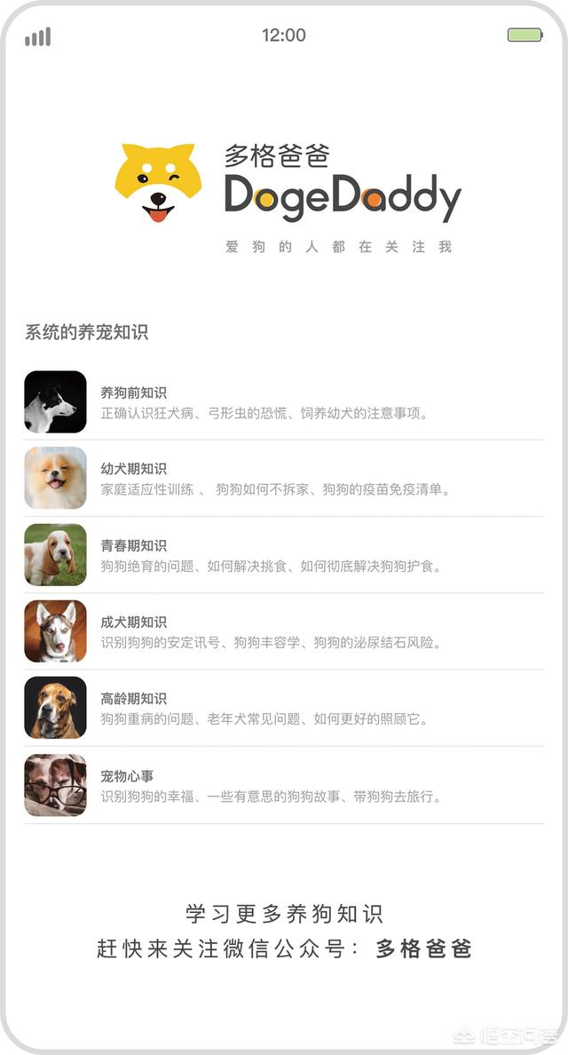 买狗:买狗在哪里买靠谱 去买狗狗的时候要看些什么？怎么判断有没有病之类的？