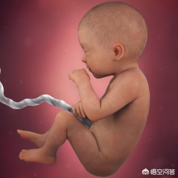 孕晚期是胎儿猛涨期吗？具体是哪几个周？插图38