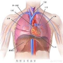 扩张型心肌病概念:紧缩性与扩张性的财政和货币政策，各是什么意思？