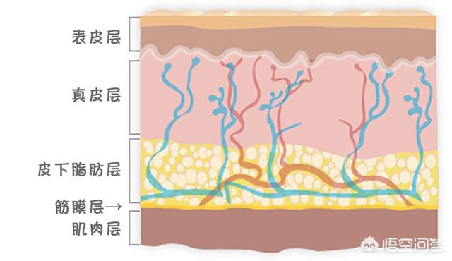 田永成隆鼻:皮肤长斑与肌肤缺水有关吗