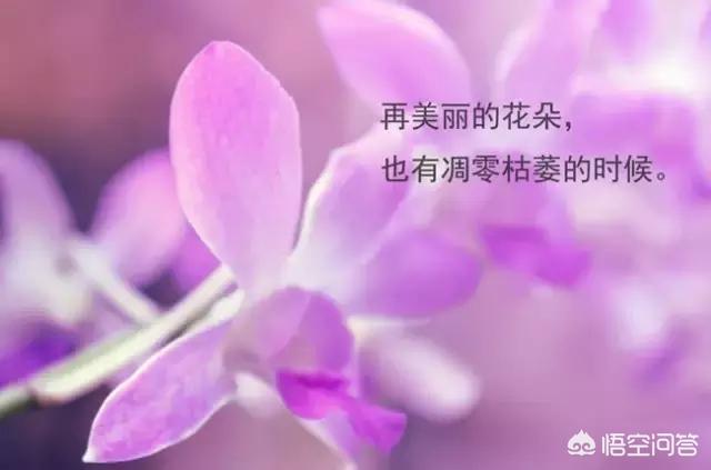 <a href=https://maguai.com/list/256-0-0.html target=_blank class=infotextkey><a href=https://maguai.com/list/256-0-0.html target=_blank class=infotextkey>朋友圈</a></a>图片配图:有哪些适合发<a href=https://maguai.com/list/256-0-0.html target=_blank class=infotextkey><a href=https://maguai.com/list/256-0-0.html target=_blank class=infotextkey>朋友圈</a></a>的带图片句子？
