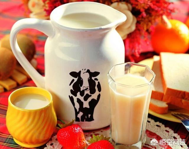 牛奶和酸奶谁的蛋白质更高一些，酸奶VS牛奶，哪个更有营养