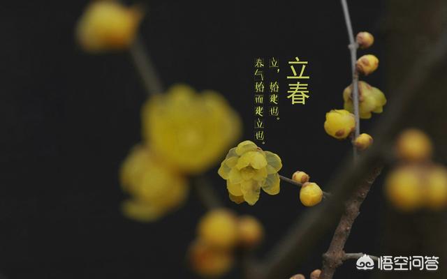 农村俗语"春脖长,回春晚,少有倒春寒"什么意思?有道理吗?