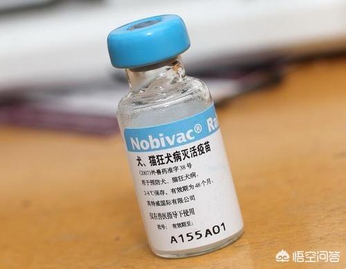 怀孕期间被狗狗咬了怎么办:孕妇被动物咬，是否可以打狂犬疫苗？