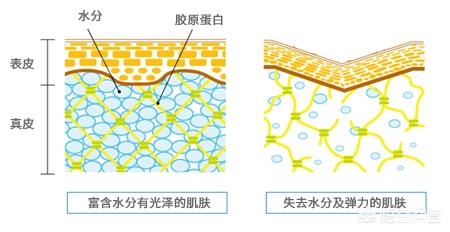 额头皱纹多说明什么，今年我30多岁，额头有皱纹有什么办法可以去除啊