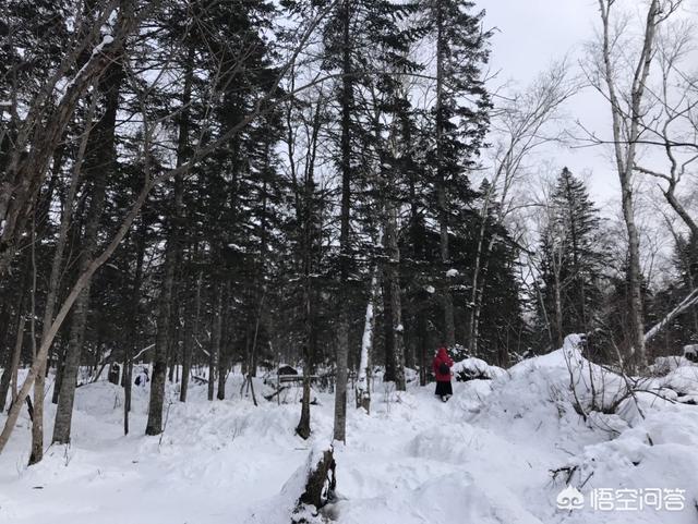 特殊时期中国富人都去哪玩，节前大家都去哪儿旅游了，整体体验如何