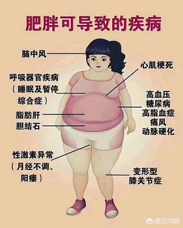 专门减肚子的减肥茶喝什么饮料可以减掉大肚子