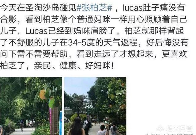 王菲张柏芝:如果你是谢霆锋，你选择王菲还是张柏芝