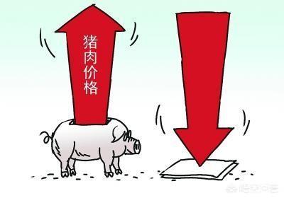 2018年狐狸行情預測:受多因素影响，2018年年底的猪价还有可能赶超去年的猪价吗？