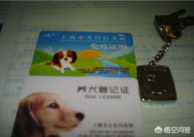 狗办证:狗办理狗证流程 大家怎样看待文明养犬，办狗证真的需要吗？