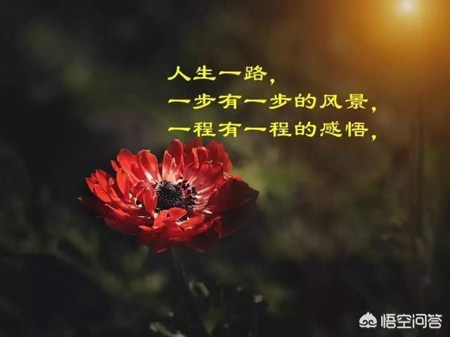 发<a href=https://maguai.com/list/256-0-0.html target=_blank class=infotextkey>朋友圈</a>好听的句子配图:有什么好的图片，句子，求分享？