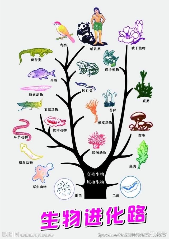 头条问答 - 地球的生命起源过程是怎样的?人类存在的意义是什么?