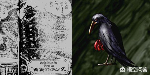 海贼王里面的红鼻子是什么动物:海贼王中四皇凯多的三大灾害果实能力是猛犸象，蝎子与乌鸦？