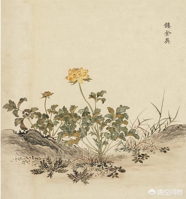 周香芸:怎么评价影视剧《鬓边不是海棠花》？