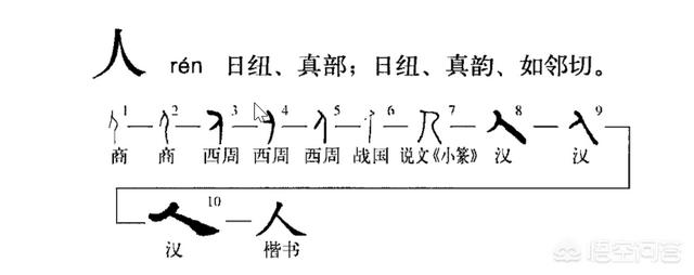 中国那么多字，为什么“人”字这么简单？:人字拼音 第1张