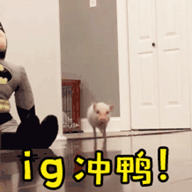 狼人杀中新人怎么玩好狼人？