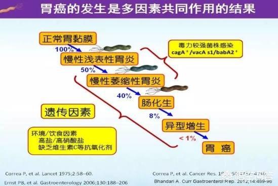 符晓薇:从胃炎到胃癌，仅仅只有4步，应该如何护胃