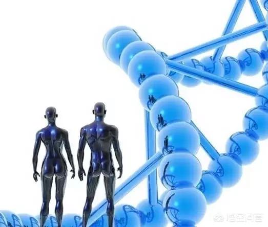 世界上有没有外星人？你是如何看待外星人的？