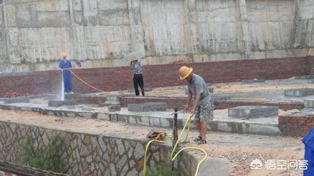家白蚁,房子里有白蚁是怎么回事？