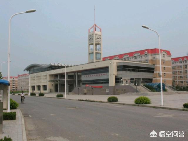 一只狗的大学生活时光:你们的大学是什么样的？你读大学时是个怎样的状态？