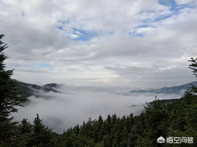 如何与人保持距离(如何与人保持距离好好相处)